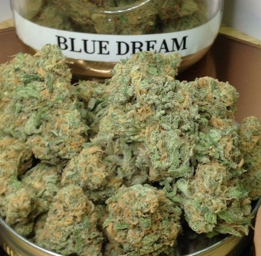 Blue Dream Weed